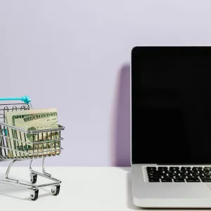 Site e-commerce Prestashop + SEO CLEATIS 12 mois 24P/24BL
