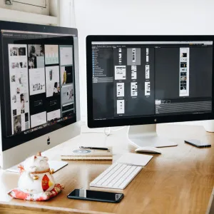 Pack IA Site vitrine WordPress – 7-10 pages + options & hébergement + Blog 5 pages rédigées sur votre thématiques par IA. Peut etre complété par un pack SEO. 3 pexels tranmautritam 326503 Pack Site vitrine WordPress + Pack SEO Présence 12 mois (12 pages / 12 backlinks)